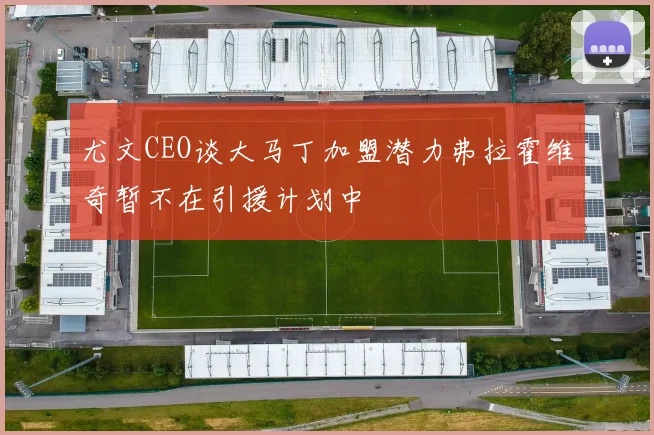 尤文CEO谈大马丁加盟潜力弗拉霍维奇暂不在引援计划中